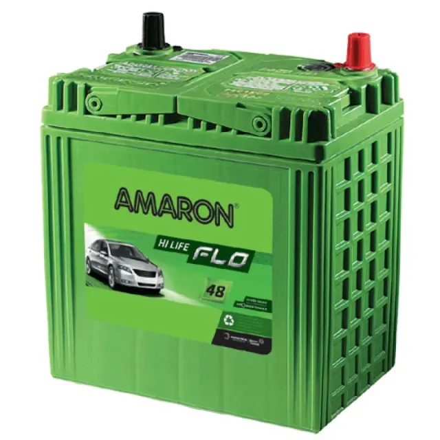 Amaron FLO DIN55R